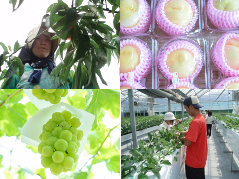 “農ある暮らし”を始めてみませんか？